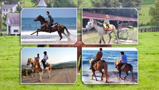 horse riding avsallar e1690295273542
