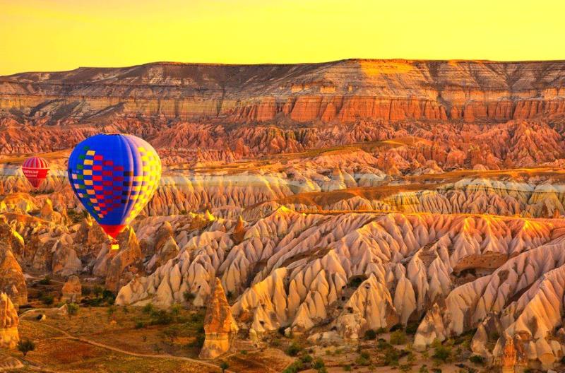 143534216349_481282175274901_320224885_n (1)