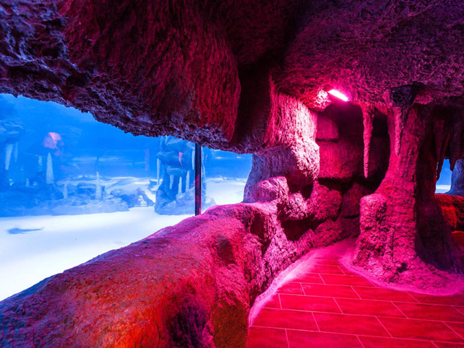 202847antalyaaquarium_maintank5