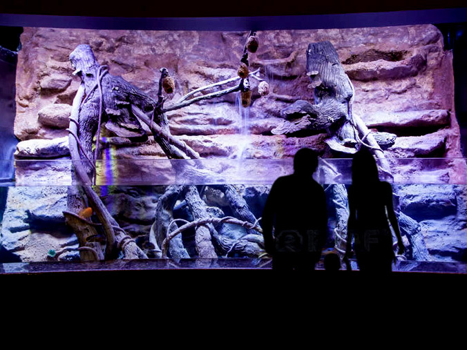 202847antalyaaquarium_tematik7