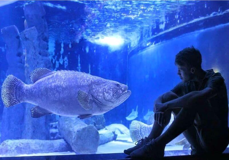 aquarium tour antalya
