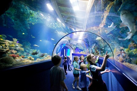 aquarium tour excursion