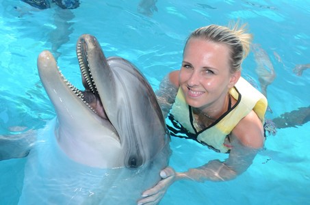 delphin show incekum