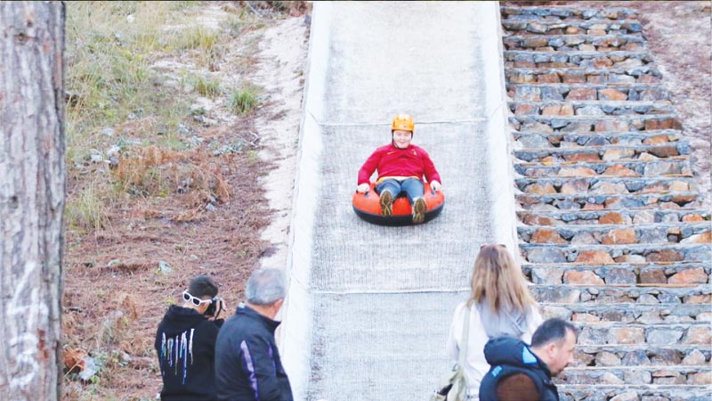 activities with family