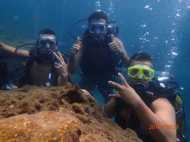 okurcalar diving