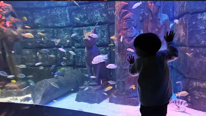 alanya aquarium excursion