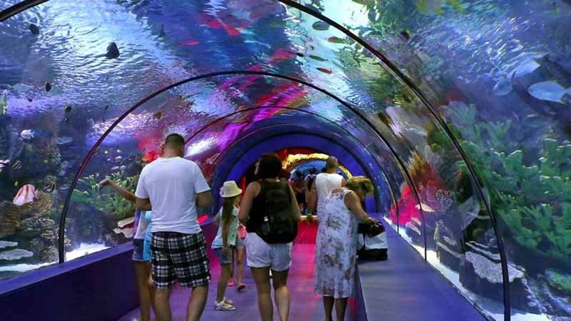 alanya to antalya aquarium