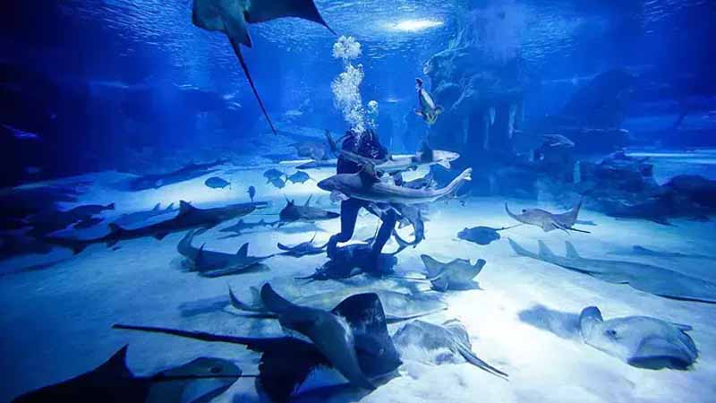 antalya aquarium from alanya