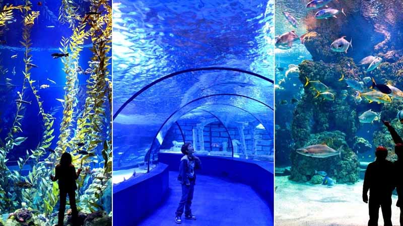 antalya aquarium ticket price