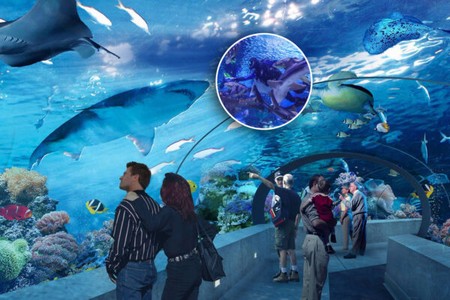 antalya-aquarium tour from alanya