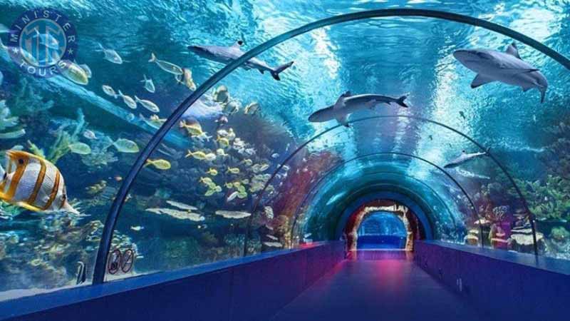 antalya aquarium tour from alanya
