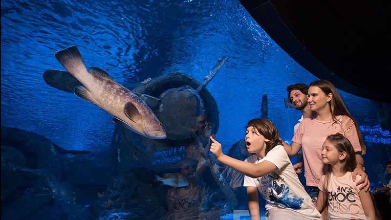 aquarium near alanya
