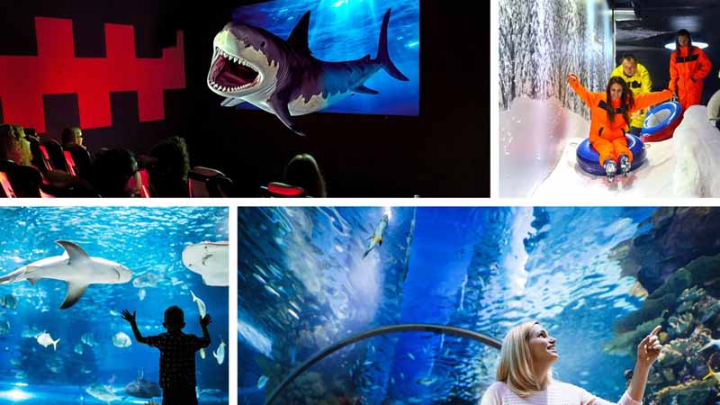 aquarium tour from alanya