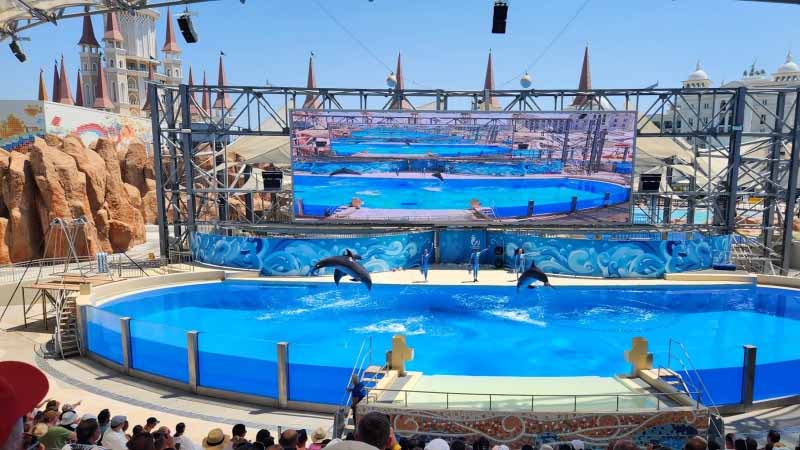 land of legends dolphin show alanya