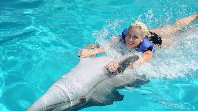 alanya dolphin park price