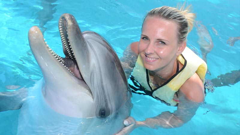 swimming with dolphins in alanya recommendation