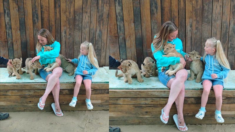 alanya photo with lion cub prices