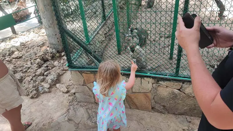 feed monkeys antalya