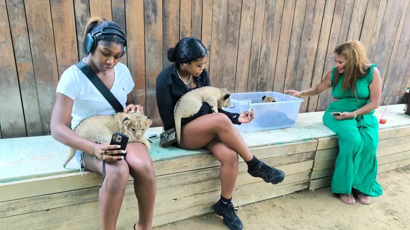 holding-lions-in-belek-and-antalya ticket