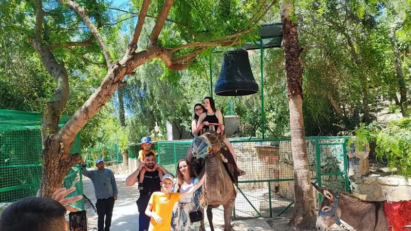 alanya zoo