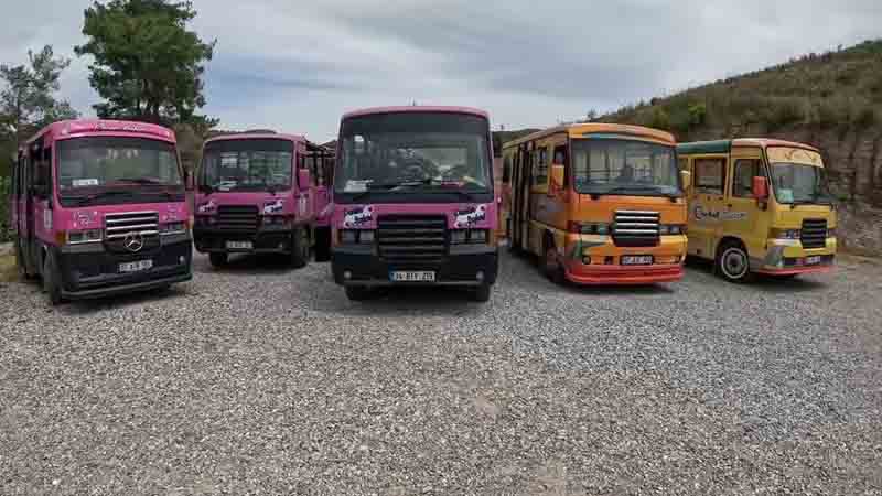 panter safari green canyon