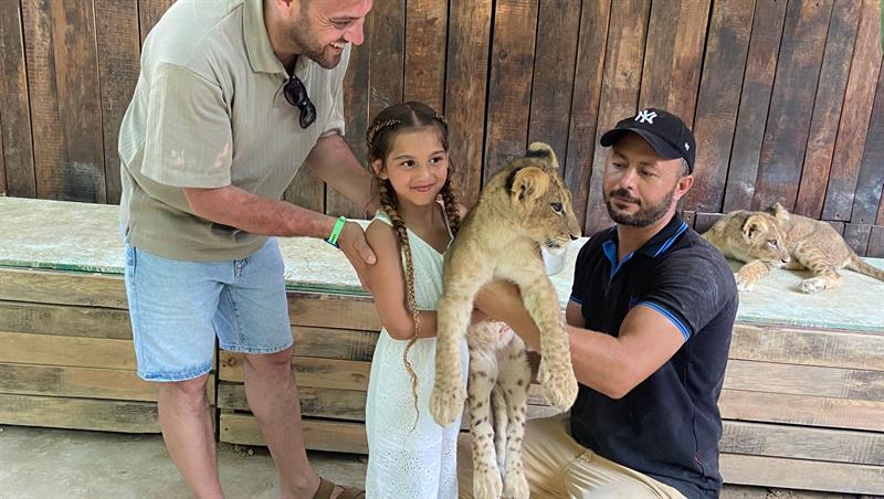 petting lion cubs konakli