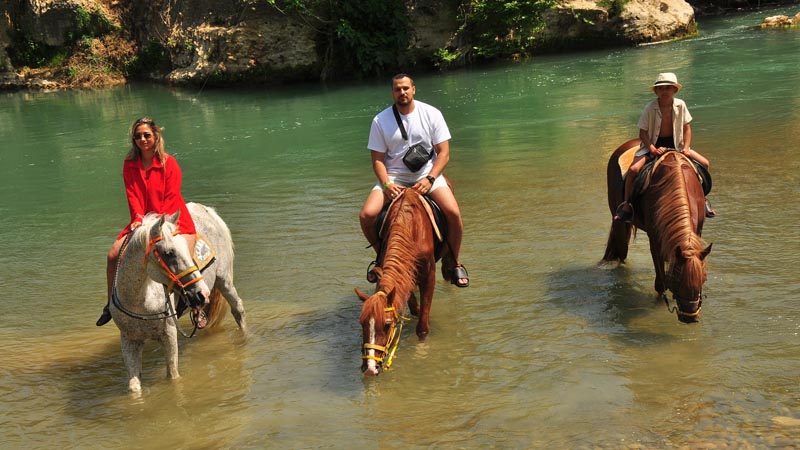 Okurcalar horse safari price