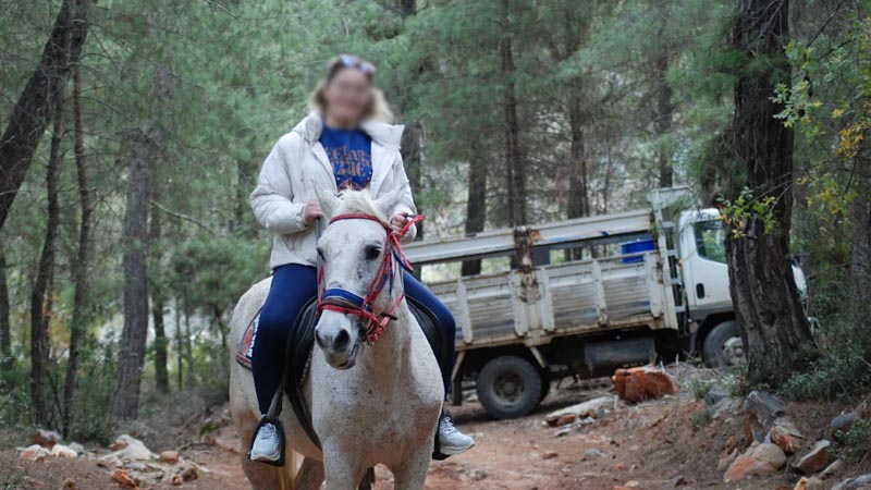 Okurcalar horse safari