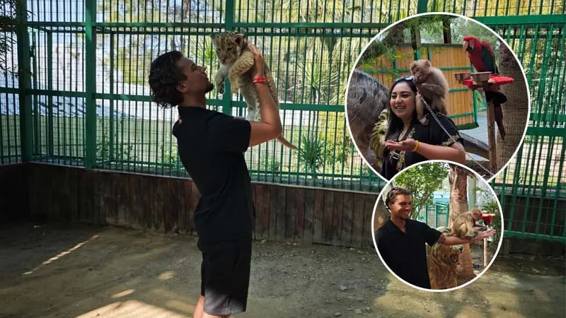 photo-with-lions-in-antalya