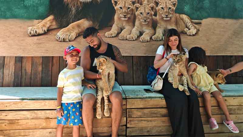 photo with lion cubs on safari
