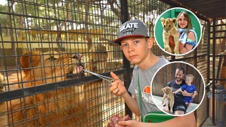 land of lions antalya